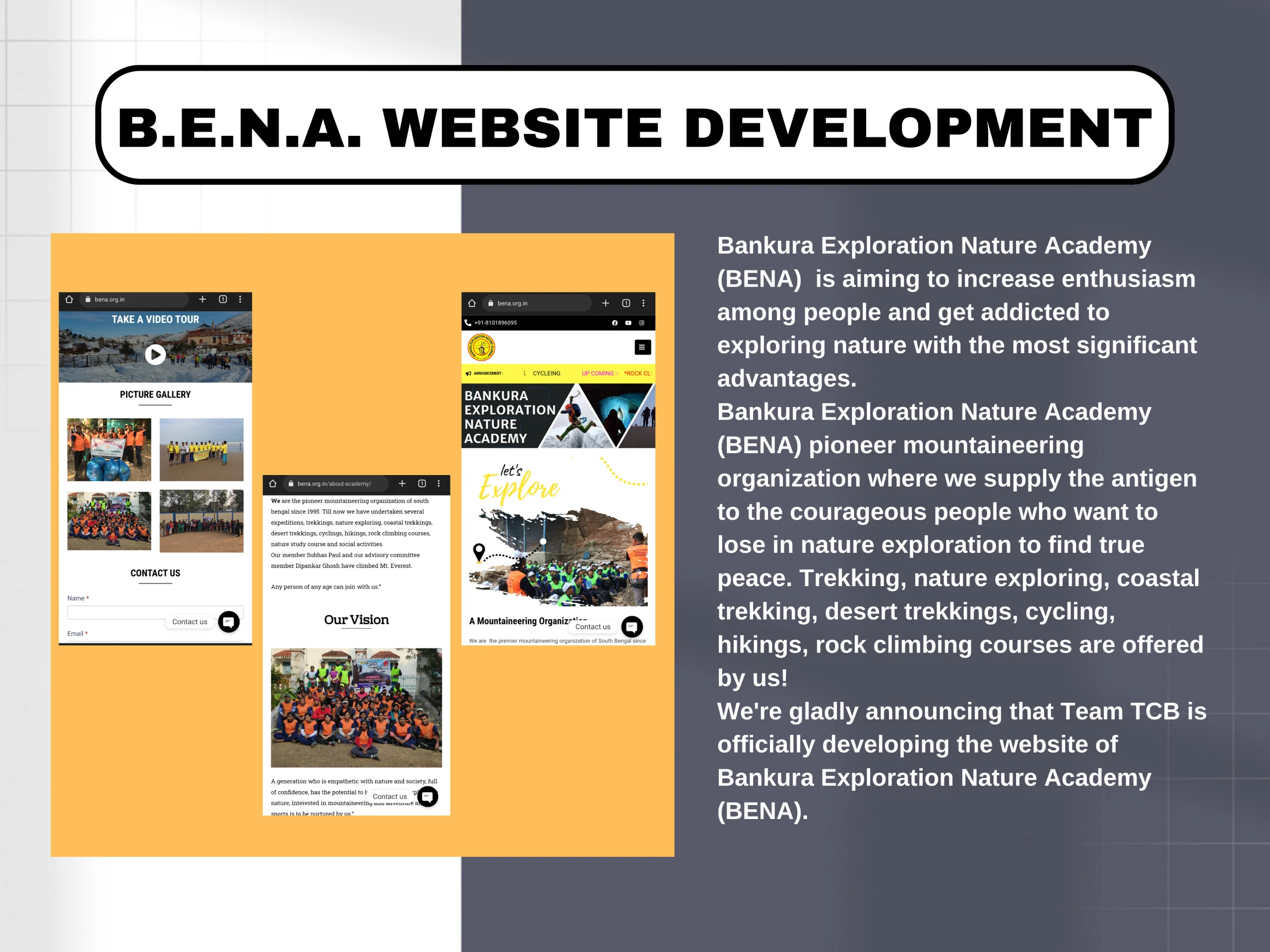 B.E.N.A. Website Development
